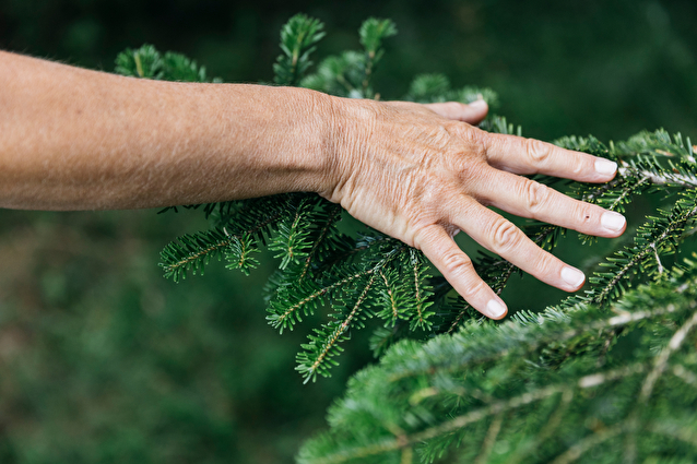 Image illustrative