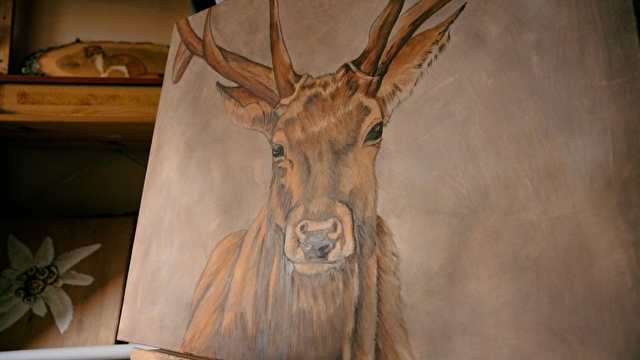 Image illustrative