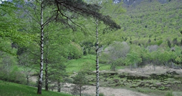 Image illustrative