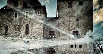 Image illustrative