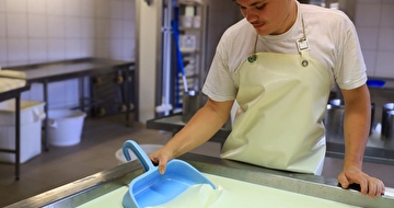 Image illustrative