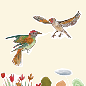 Image illustrative
