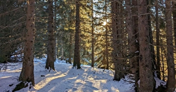 Image illustrative
