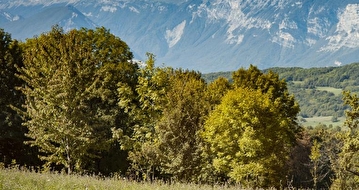 Image illustrative