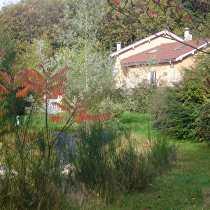 Image illustrative