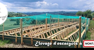 Image illustrative