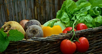 Image illustrative
