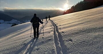Image illustrative