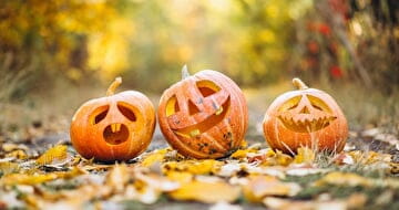 Image illustrative